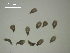  ( - H.RM.IVT.Cco.1f.1)  @11 [ ] Copyright (2010) Unspecified Environment Canada
