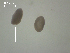  ( - I.BC.1.Nh.1.1)  @12 [ ] Copyright (2010) Unspecified Environment Canada