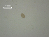  ( - I.BC.B.P.24.1)  @12 [ ] Copyright (2010) Unspecified Environment Canada