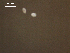  ( - I.SB.D08.P.1F.1)  @12 [ ] Copyright (2010) Unspecified Environment Canada