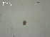  ( - I.SB.IBE.P.1F.1)  @12 [ ] Copyright (2010) Unspecified Environment Canada