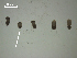  ( - P.BC.B08.S.1F.2)  @12 [ ] Copyright (2010) Unspecified Environment Canada