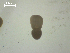  ( - P.KY.B08.S.1F.5)  @12 [ ] Copyright (2010) Unspecified Environment Canada