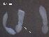  ( - P.LM.O.S.5.2)  @12 [ ] Copyright (2010) Unspecified Environment Canada
