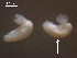  ( - S.IN.DWR8.Ana.19.1)  @12 [ ] Copyright (2010) Unspecified Environment Canada