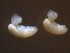  ( - S.IN.DWR8.Ana.19.2)  @12 [ ] Copyright (2010) Unspecified Environment Canada