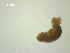  ( - S.IN.DWR8.Ana.19.4)  @12 [ ] Copyright (2010) Unspecified Environment Canada