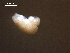  ( - S.IN.DWR8.Ana.19.5)  @12 [ ] Copyright (2010) Unspecified Environment Canada