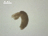  ( - S.IN.DWR8.Ana.19.6)  @12 [ ] Copyright (2010) Unspecified Environment Canada