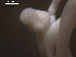  ( - Ts.LM.LMS.Cc.1.1)  @12 [ ] Copyright (2010) Unspecified Environment Canada