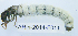  ( - ARin-2014F011)  @12 [ ] CreativeCommons - Attribution Non-Commercial (2013) Aki Rinne University of Oulu