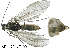  ( - ARin-2014F109)  @12 [ ] CreativeCommons - Attribution Non-Commercial (2015) Aki Rinne University of Oulu