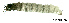  ( - ARin-2015F153)  @11 [ ] CreativeCommons - Attribution Non-Commercial (2015) Aki Rinne University of Oulu