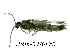  ( - ARin-2020F82)  @11 [ ] by-nc (2020) Aki Rinne University of Oulu