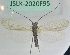  ( - JSLK-2020F95)  @11 [ ] by-nc (2020) Juha Salokannel University of Oulu