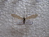 ( - JSlk-2011F021)  @13 [ ] Unspecified (default): All Rights Reserved  Unspecified Unspecified