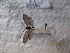  ( - JSlk-2011F055)  @13 [ ] Unspecified (default): All Rights Reserved  Unspecified Unspecified