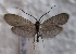  ( - JSlk-2011F055)  @13 [ ] Unspecified (default): All Rights Reserved  Unspecified Unspecified