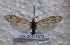  ( - JSlk-2011F073)  @13 [ ] Unspecified (default): All Rights Reserved  Unspecified Unspecified