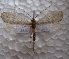  ( - JSlk-2011F091)  @13 [ ] Unspecified (default): All Rights Reserved  Unspecified Unspecified
