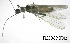  ( - PLECO-2015F012)  @13 [ ] CreativeCommons - Attribution Non-Commercial (2015) Aki Rinne University of Oulu