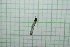  ( - IAvH-TRI-MAC0024-3.2)  @11 [ ] Copyright (2022) Instituto de Investigaciones Alexander von Humboldt (IAvH) Instituto de Investigaciones Alexander von Humboldt (IAvH)