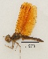  ( - IAvH-TRI-MAC0028-2)  @11 [ ] Copyright (2022) Instituto de Investigaciones Alexander von Humboldt (IAvH) Instituto de Investigaciones Alexander von Humboldt (IAvH)