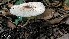  ( - IAvH-TRI-MR002)  @11 [ ] Copyright (2021) Instituto Alexander von Humboldt (IAvH) Instituto de Investigacion de Recursos Biologicos Alexander von Humboldt (IAvH)