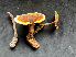  ( - IAvH-TRI-MR018)  @11 [ ] Copyright (2021) Instituto Alexander von Humboldt (IAvH) Instituto de Investigacion de Recursos Biologicos Alexander von Humboldt (IAvH)