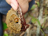  ( - IAvH-TRI-MR112)  @11 [ ] Copyright (2021) Instituto Alexander von Humboldt (IAvH) Instituto de Investigacion de Recursos Biologicos Alexander von Humboldt (IAvH)