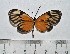  ( - IAvH-TRI-A2111)  @11 [ ] copyright (2022) Instituto de Investigacion Alexander von Humboldt (IAvH) Instituto de Investigacion Alexander von Humboldt (IAvH)