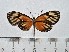  ( - IAvH-TRI-A2123)  @11 [ ] copyright (2022) Instituto de Investigacion Alexander von Humboldt (IAvH). Instituto de Investigacion Alexander von Humboldt (IAvH).
