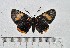  ( - IAvH-TRI-A2325)  @11 [ ] copyright (2022) Instituto de Investigacion Alexander von Humboldt (IAvH). Instituto de Investigacion Alexander von Humboldt (IAvH).