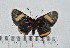  ( - IAvH-TRI-A2325)  @11 [ ] copyright (2022) Instituto de Investigacion Alexander von Humboldt (IAvH). Instituto de Investigacion Alexander von Humboldt (IAvH).