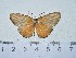  ( - IAvH-TRI-A938)  @11 [ ] copyright (2022) Instituto de Investigacion Alexander von Humboldt (IAvH) Instituto de Investigacion Alexander von Humboldt (IAvH)