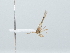  ( - IAvH-TRI-FCZ0056)  @11 [ ] Copyright (2022) Instituto de Investigaciones Alexander von Humboldt (IAvH) Instituto de Investigaciones Alexander von Humboldt (IAvH)