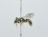  ( - IAvH-TRI-FCZ0278)  @11 [ ] Copyright (2022) Instituto de Investigaciones Alexander von Humboldt (IAvH) Instituto de Investigaciones Alexander von Humboldt (IAvH)