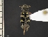  ( - IAvH-TRI-ALH-G1057)  @11 [ ] Copyright (2022) Instituto de Investigaciones Alexander von Humboldt (IAvH) Instituto de Investigaciones Alexander von Humboldt (IAvH)
