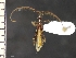  ( - IAvH-TRI-ALH-G1070)  @11 [ ] Copyright (2022) Instituto de Investigaciones Alexander von Humboldt (IAvH) Instituto de Investigaciones Alexander von Humboldt (IAvH)