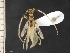  ( - IAvH-TRI-ALH-G1104)  @11 [ ] Copyright (2022) Instituto de Investigaciones Alexander von Humboldt (IAvH) Instituto de Investigaciones Alexander von Humboldt (IAvH)