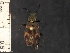  ( - IAvH-TRI-ALH-G1109)  @11 [ ] Copyright (2022) Instituto de Investigaciones Alexander von Humboldt (IAvH) Instituto de Investigaciones Alexander von Humboldt (IAvH)