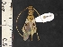  ( - IAvH-TRI-ALH-G1118)  @11 [ ] Copyright (2022) Instituto de Investigaciones Alexander von Humboldt (IAvH) Instituto de Investigaciones Alexander von Humboldt (IAvH)