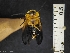  ( - IAvH-TRI-ALH-G285)  @11 [ ] Copyright (2022) Instituto de Investigaciones Alexander von Humboldt (IAvH) Instituto de Investigaciones Alexander von Humboldt (IAvH)