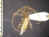  ( - IAvH-TRI-ALH-G822)  @11 [ ] Copyright (2022) Instituto de Investigaciones Alexander von Humboldt (IAvH) Instituto de Investigaciones Alexander von Humboldt (IAvH)