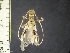  ( - IAvH-TRI-ALH-G836)  @11 [ ] Copyright (2022) Instituto de Investigaciones Alexander von Humboldt (IAvH) Instituto de Investigaciones Alexander von Humboldt (IAvH)