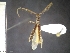  ( - IAvH-TRI-ALH-G837)  @11 [ ] Copyright (2022) Instituto de Investigaciones Alexander von Humboldt (IAvH) Instituto de Investigaciones Alexander von Humboldt (IAvH)