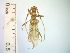  ( - IAvH-TRI-ALH-G857)  @11 [ ] Copyright (2022) Instituto de Investigaciones Alexander von Humboldt (IAvH) Instituto de Investigaciones Alexander von Humboldt (IAvH)