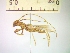  ( - IAvH-TRI-ALH-G857)  @11 [ ] Copyright (2022) Instituto de Investigaciones Alexander von Humboldt (IAvH) Instituto de Investigaciones Alexander von Humboldt (IAvH)