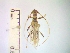  ( - IAvH-TRI-ALH-G858)  @11 [ ] Copyright (2022) Instituto de Investigaciones Alexander von Humboldt (IAvH) Instituto de Investigaciones Alexander von Humboldt (IAvH)