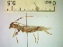  ( - IAvH-TRI-ALH-G858)  @11 [ ] Copyright (2022) Instituto de Investigaciones Alexander von Humboldt (IAvH) Instituto de Investigaciones Alexander von Humboldt (IAvH)